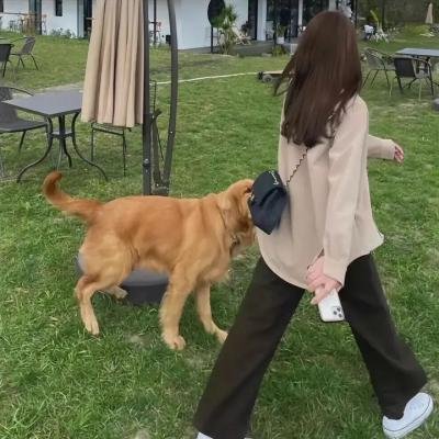无耻之徒第五季