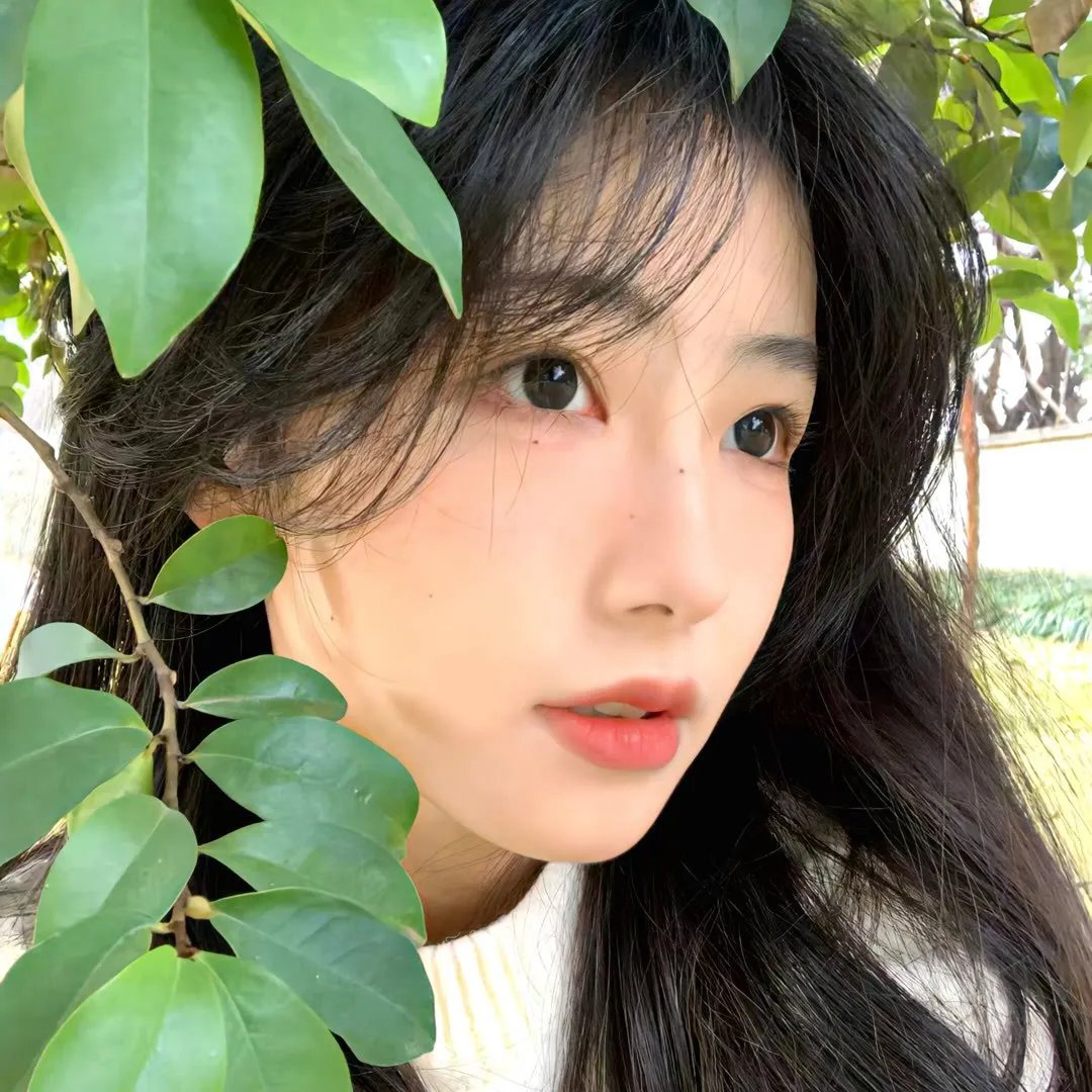 芳芳