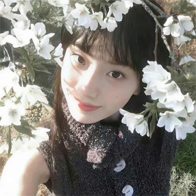 开播!情景喜剧第二季