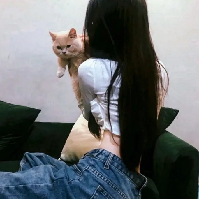 简单西蒙